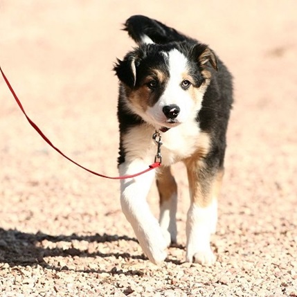 Kleiner Mann ganz groß.